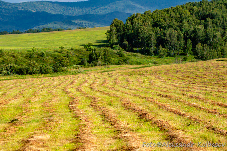 Фото галереи