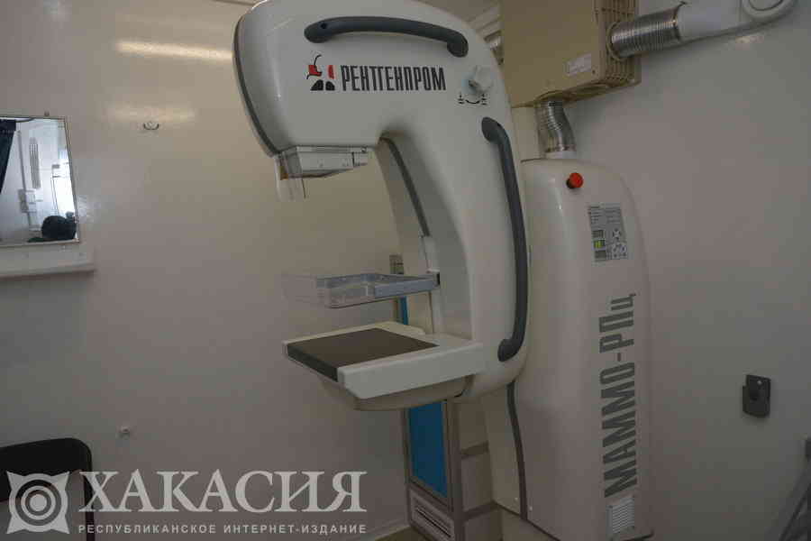 Фото галереи