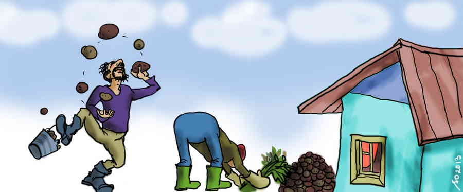 Фото галереи