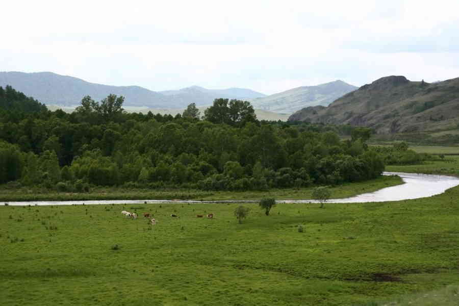 Фото галереи