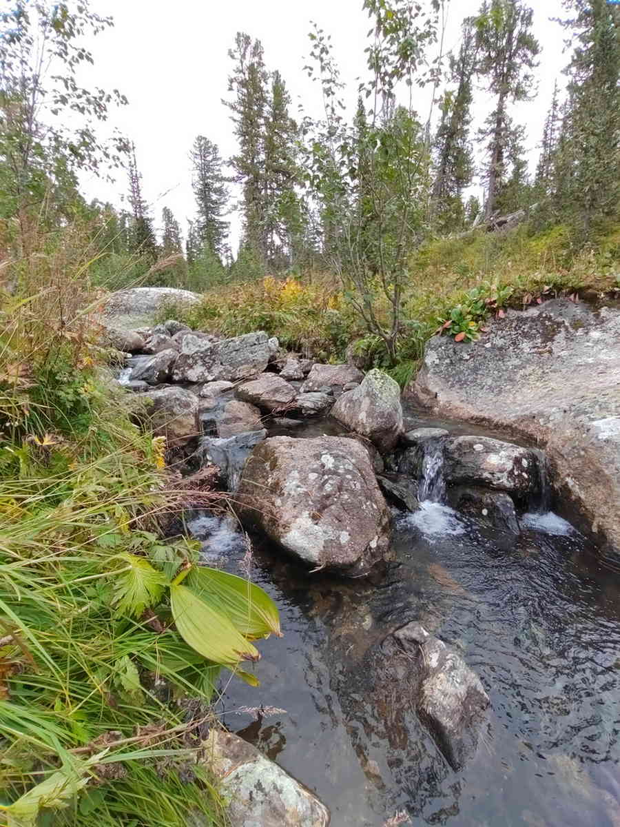 Фото галереи