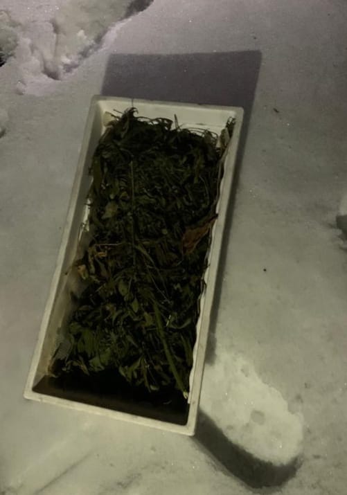 Фото галереи