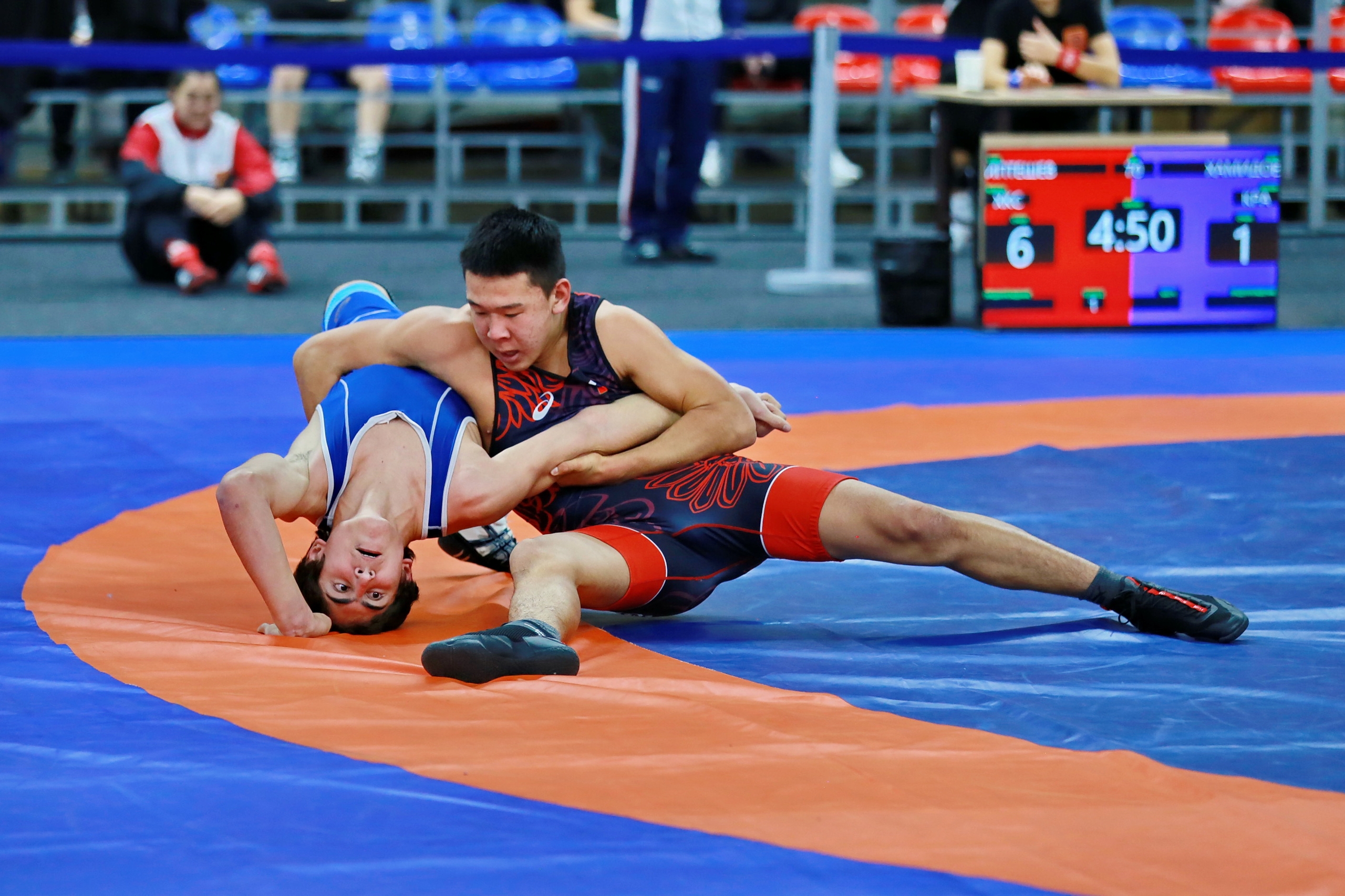 Фото галереи