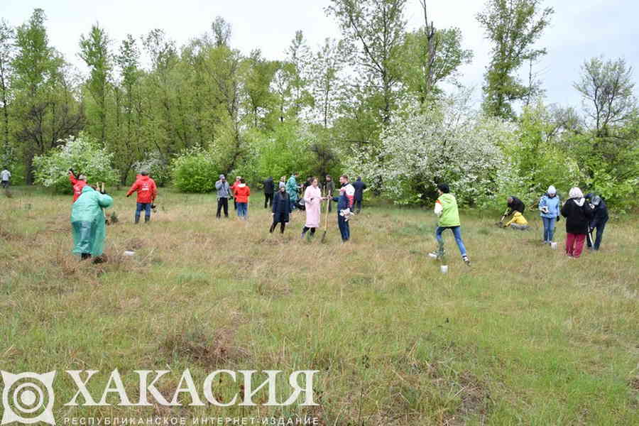 Фото галереи