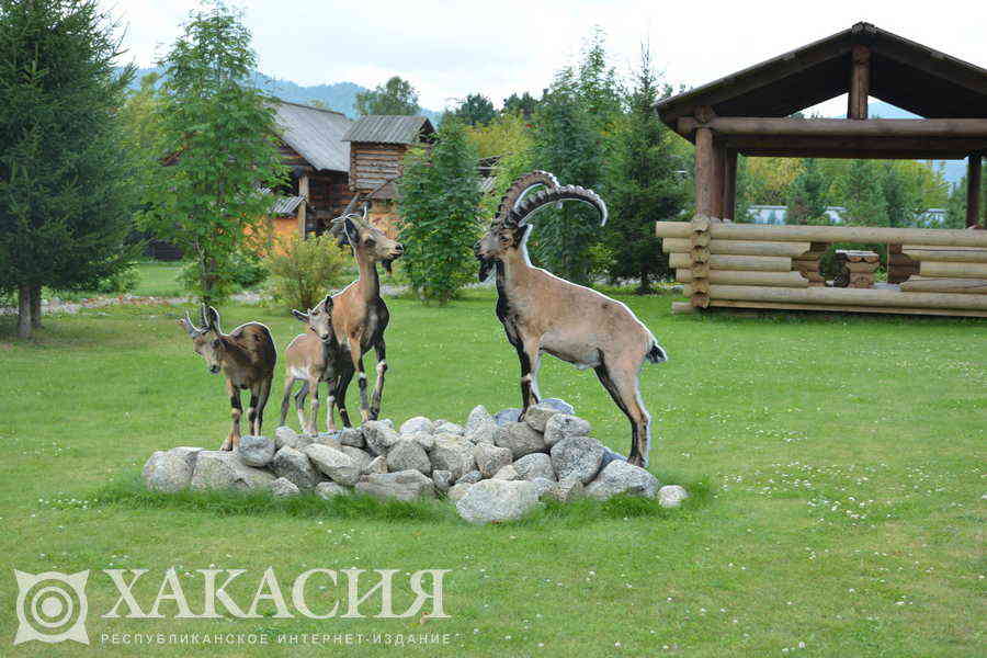 Фото галереи