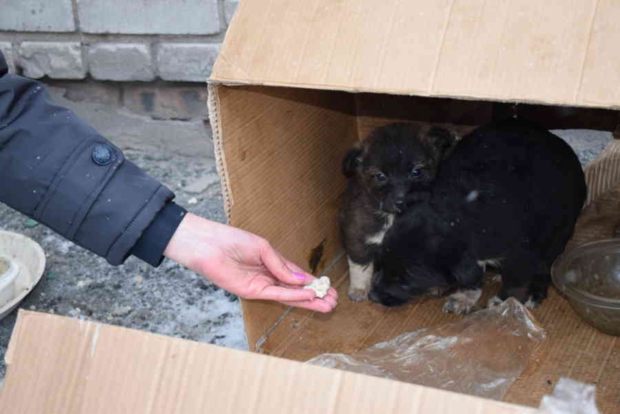 Фото галереи