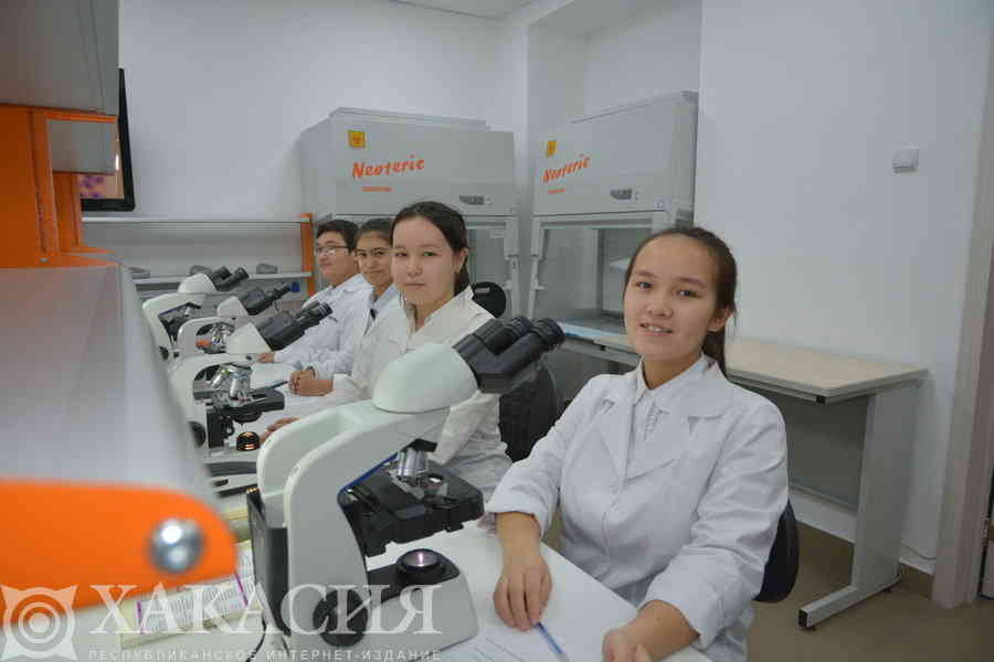 Фото галереи