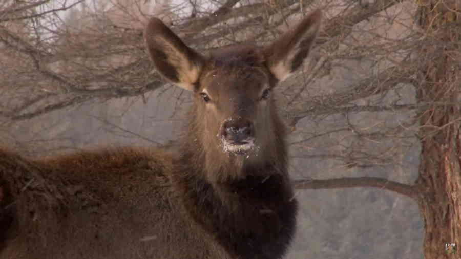 Фото галереи