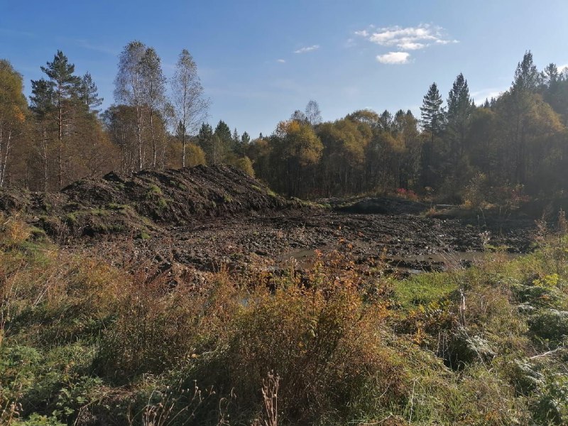 Фото галереи