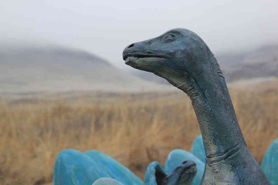 Фото галереи