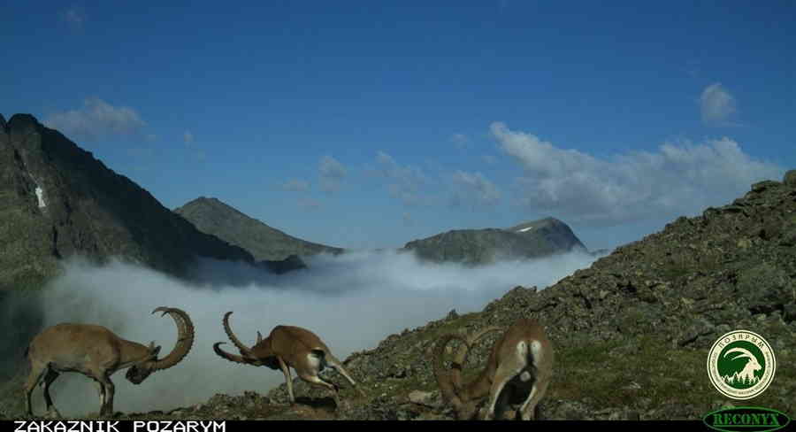 Фото галереи