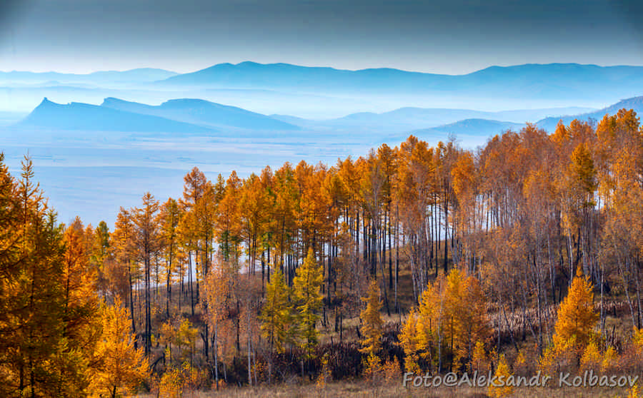 Фото галереи