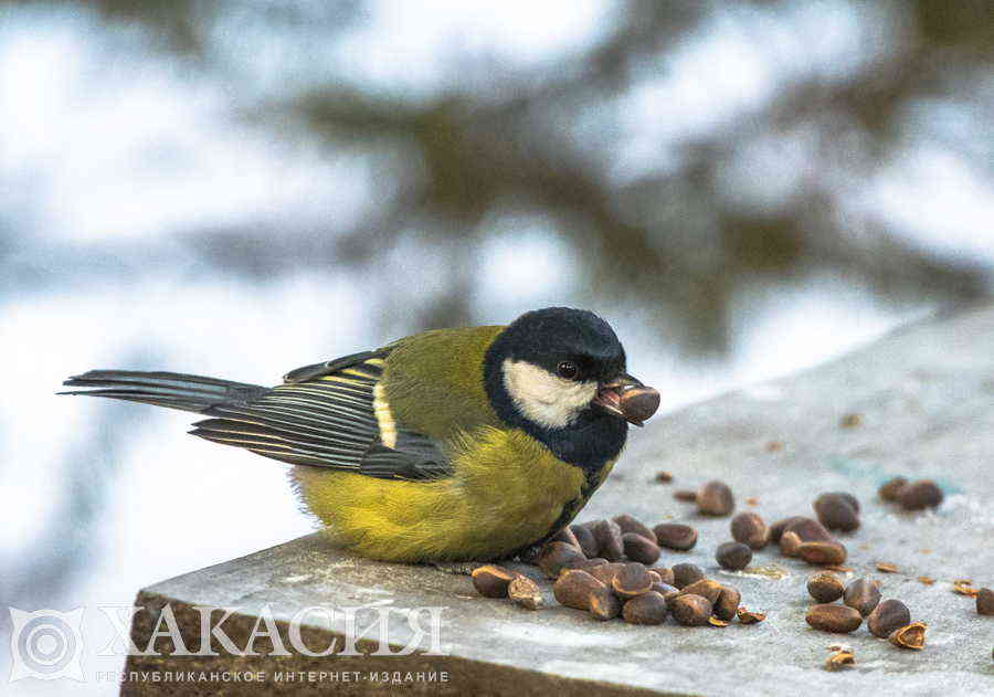 Фото галереи