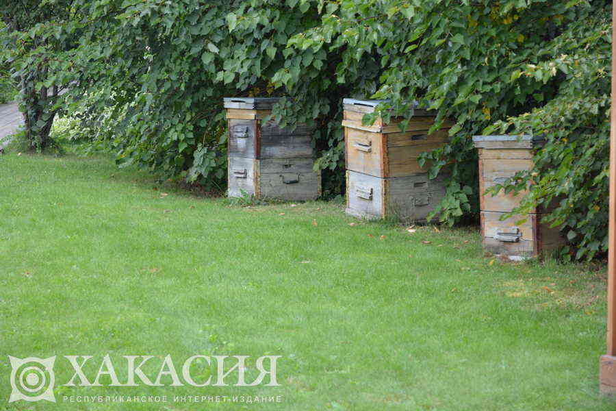 Фото галереи