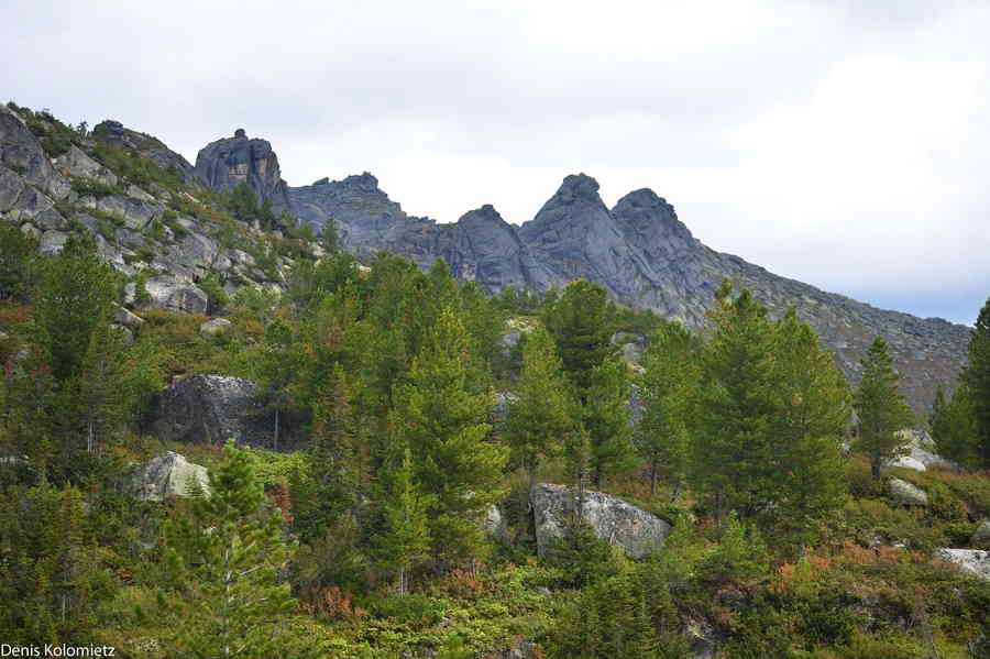 Фото галереи