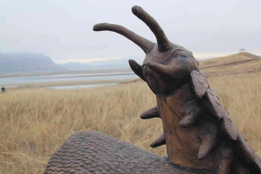 Фото галереи