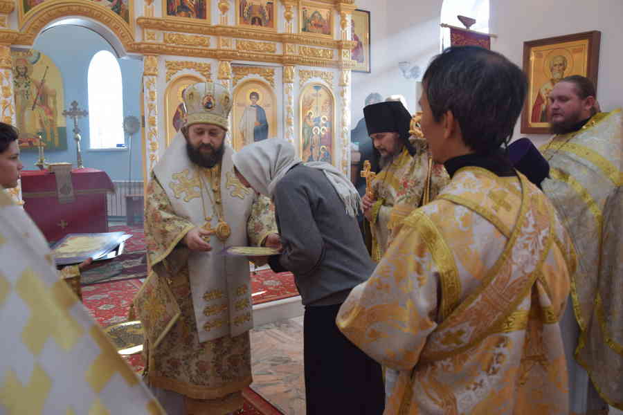 Фото галереи