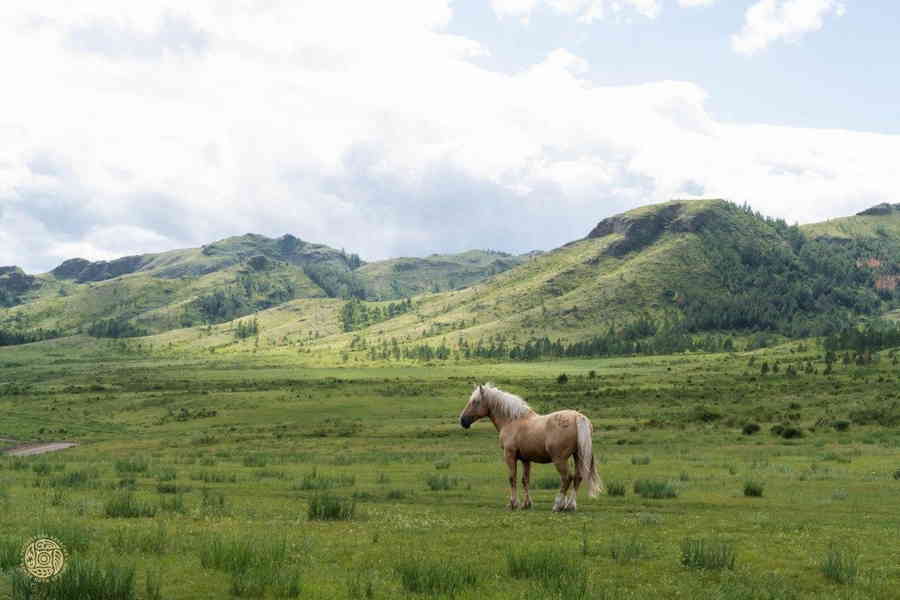 Фото галереи