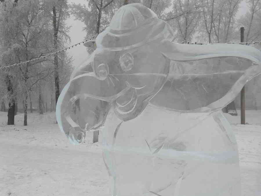 Фото галереи