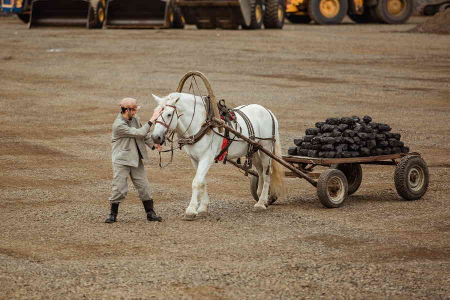 Фото галереи