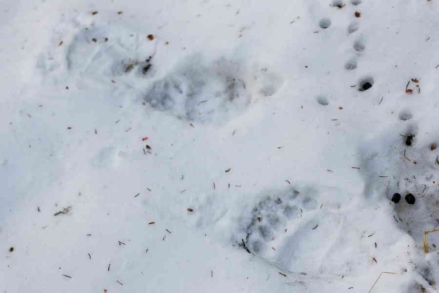 Фото галереи