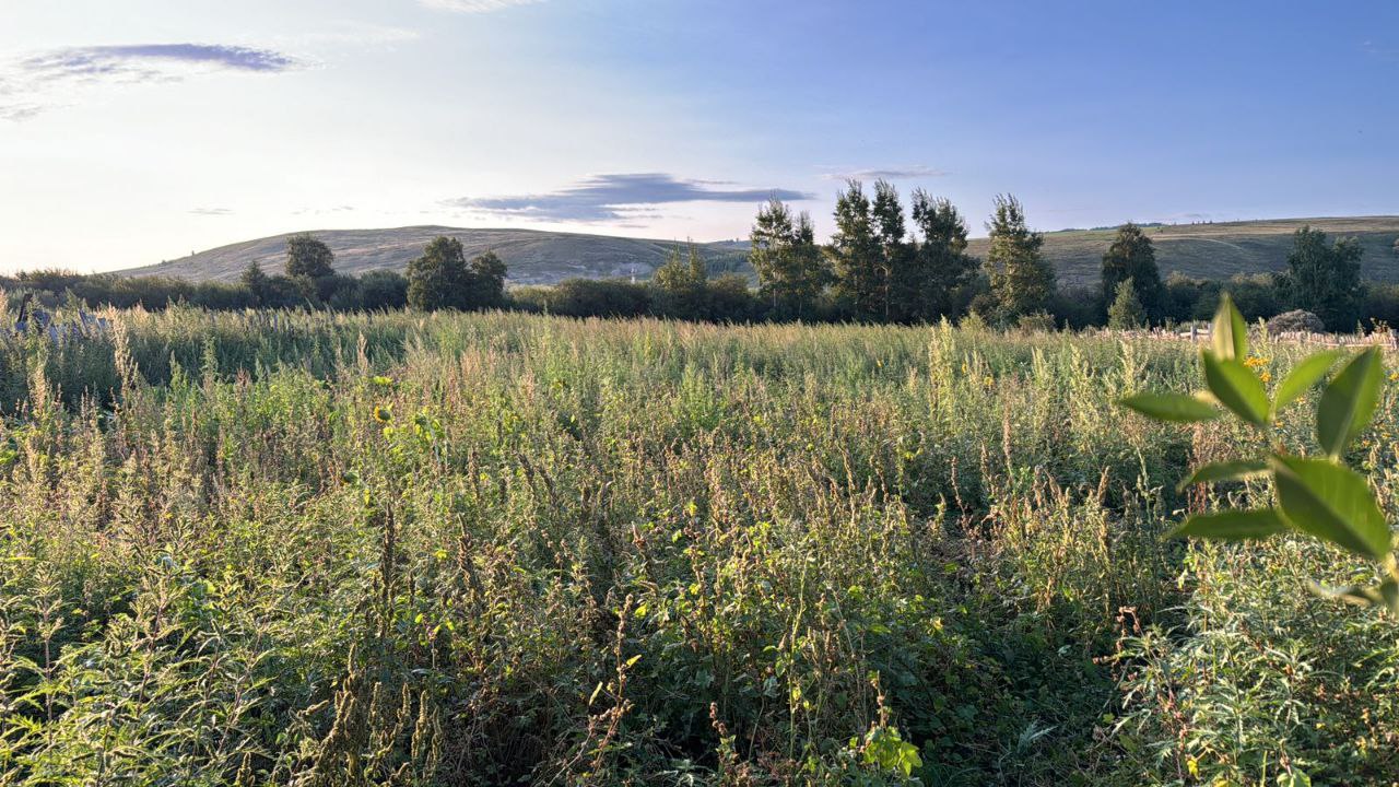 Фото галереи