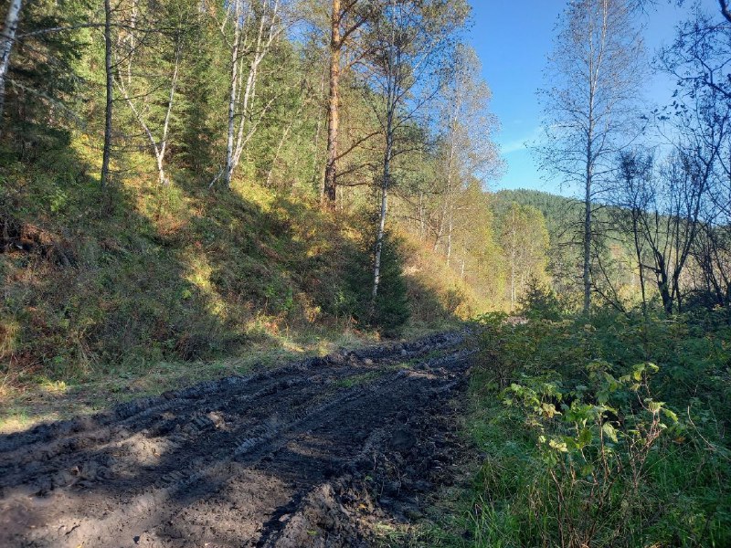 Фото галереи