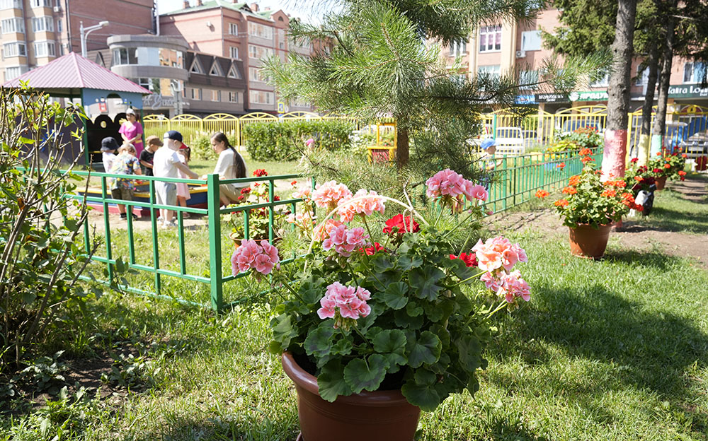 Фото галереи