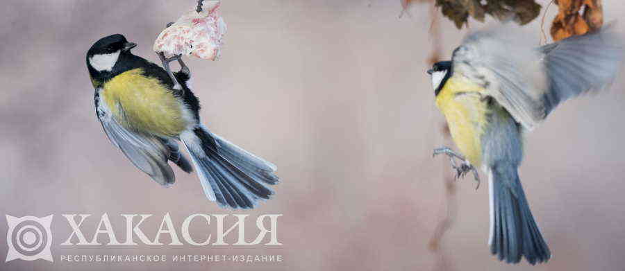 Фото галереи