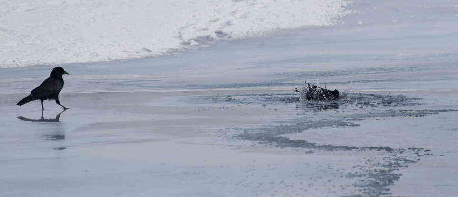 Фото галереи