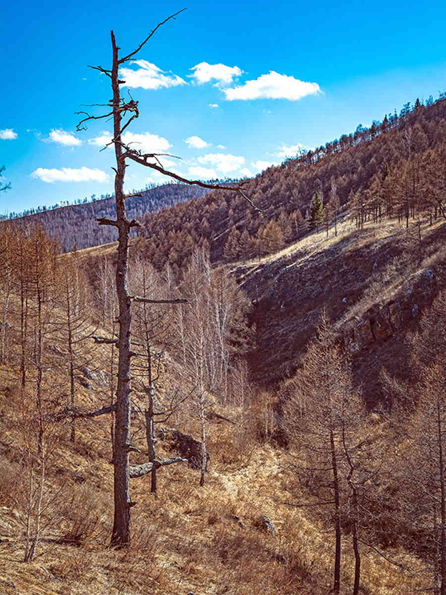 Фото галереи