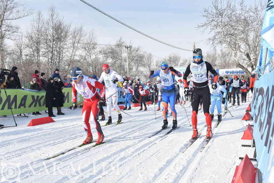 Фото галереи