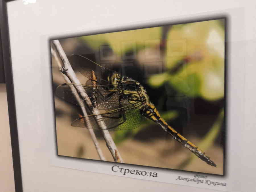 Фото галереи