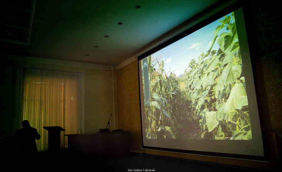 Фото галереи