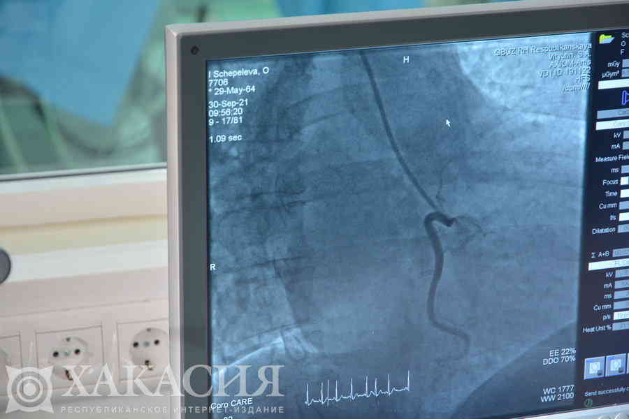 Фото галереи