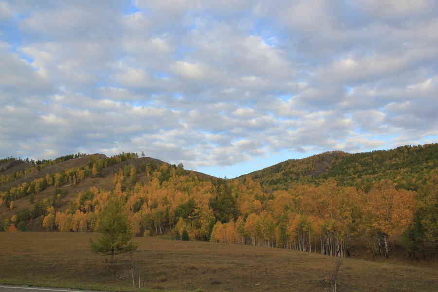 Фото галереи
