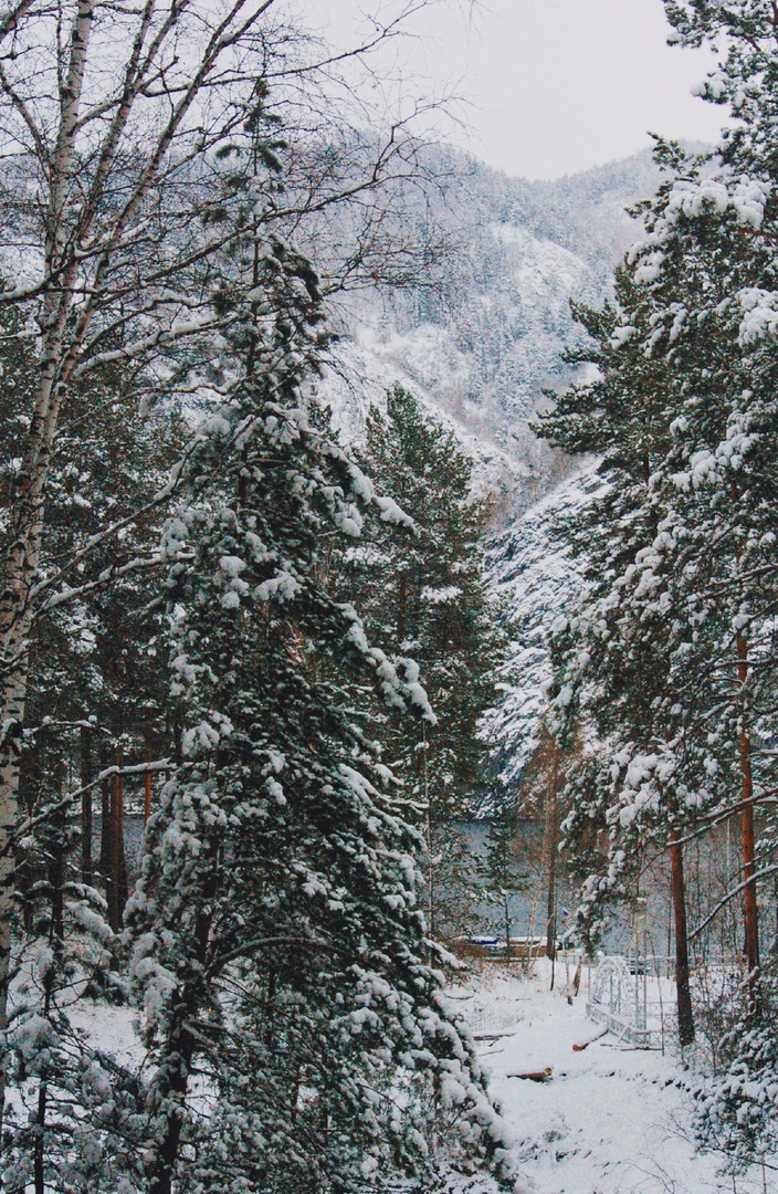 Фото галереи