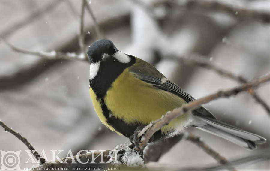 Фото галереи