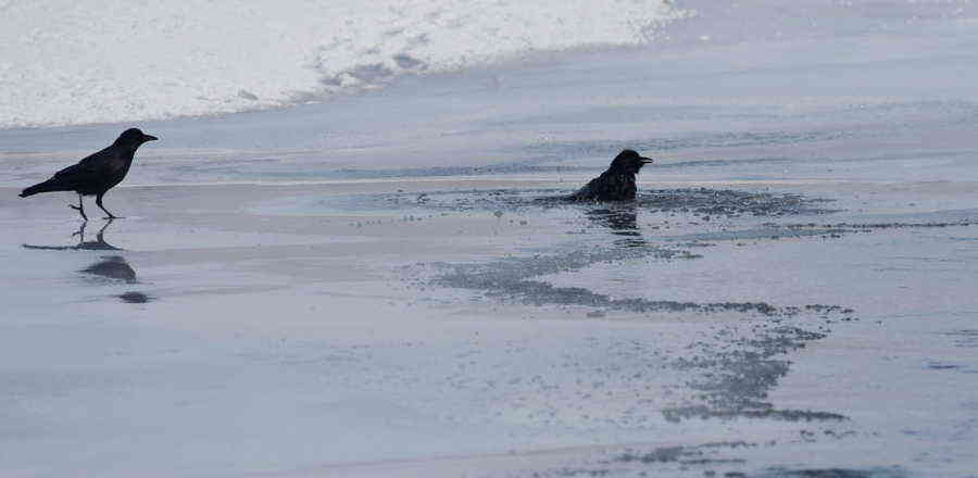 Фото галереи