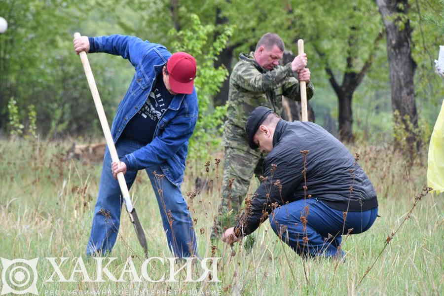 Фото галереи