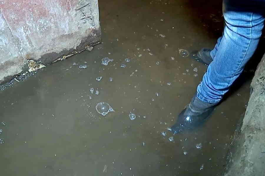 Фото галереи