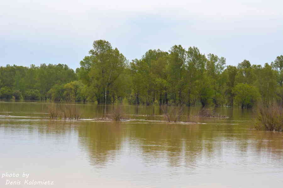 Фото галереи