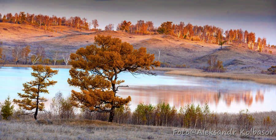 Фото галереи