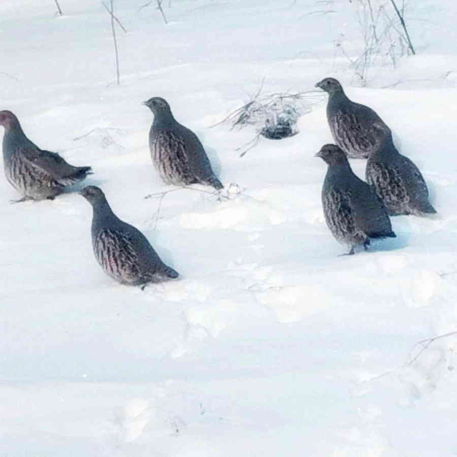 Фото галереи