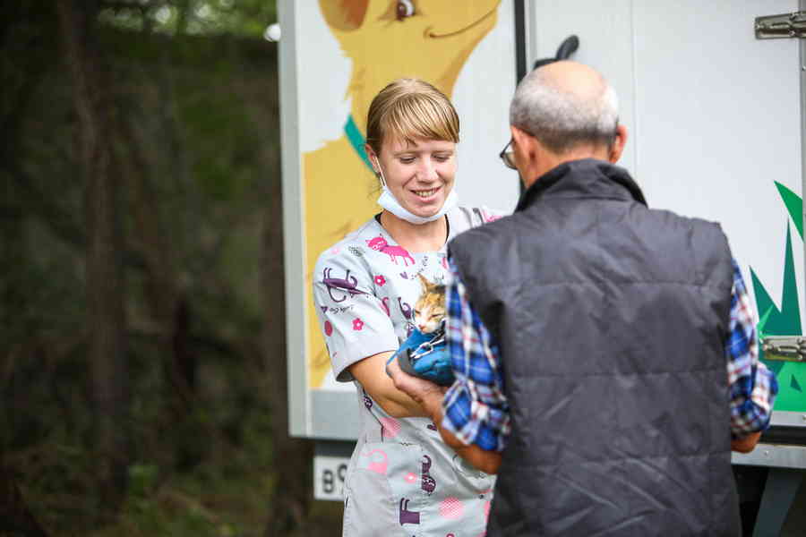 Фото галереи