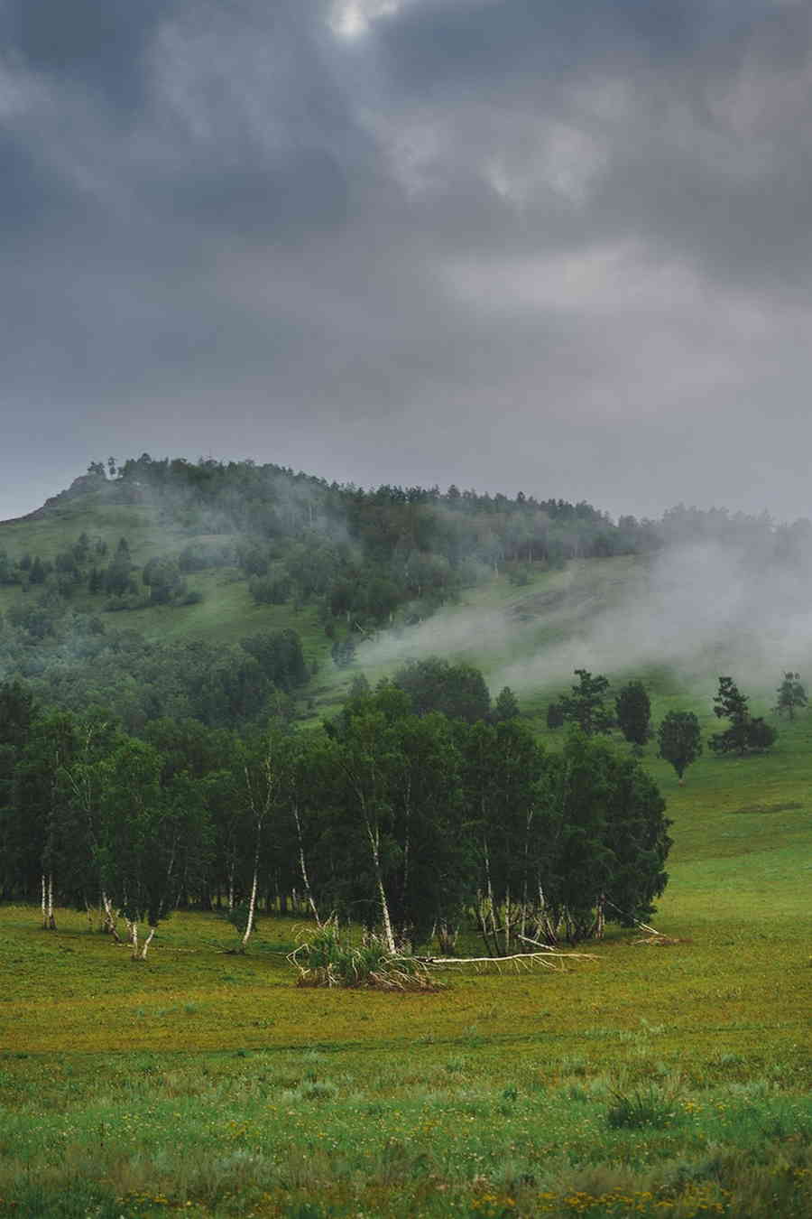 Фото галереи