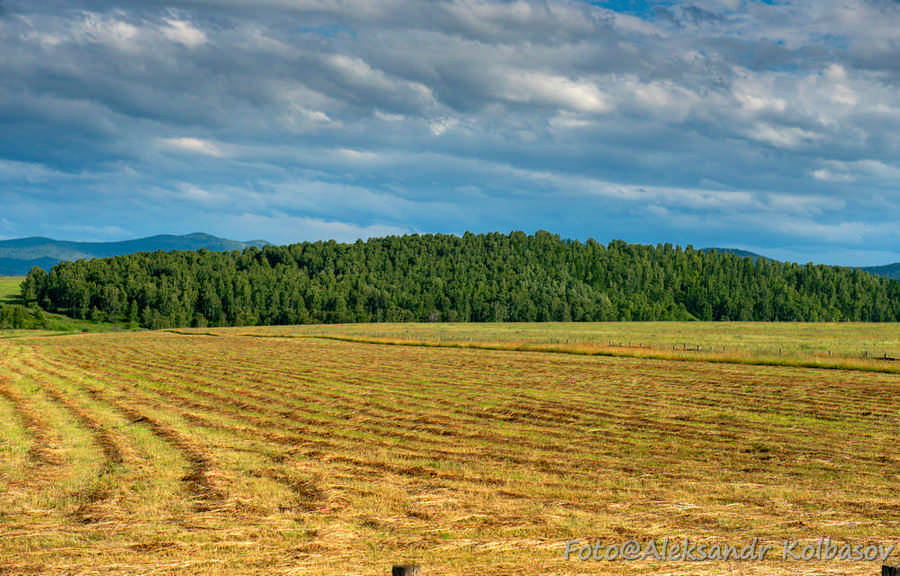 Фото галереи