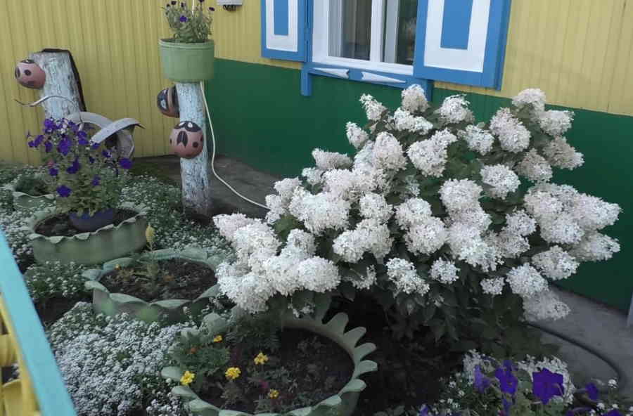 Фото галереи