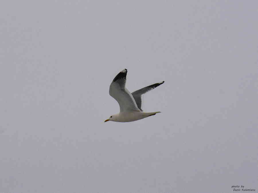 Фото галереи