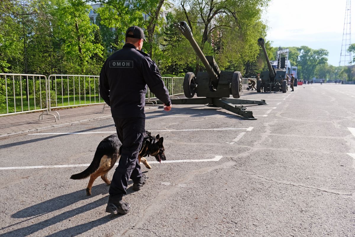 Фото галереи